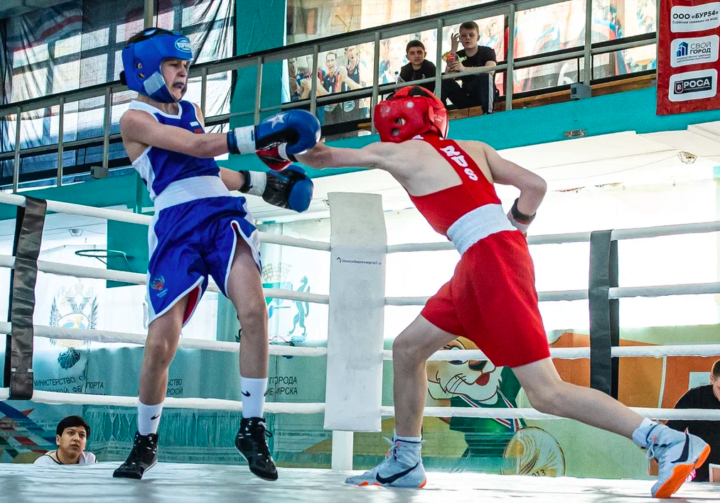 Фото Рекордное число спортсменов и невероятная энергетика. Как прошло Первенство Новосибирской области по боксу – фоторепортаж 3 - Сиб.ФМ Фото Рекордное число спортсменов и невероятная энергетика. Как прошло Первенство Новосибирской области по боксу – фоторепортаж 3